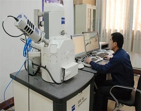 电子扫描显微镜